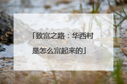 致富之路：华西村是怎么富起来的