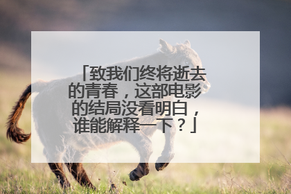 致我们终将逝去的青春，这部电影的结局没看明白，谁能解释一下？