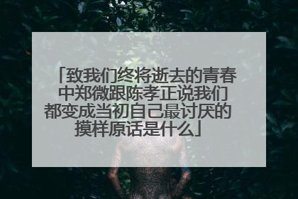 致我们终将逝去的青春 中郑微跟陈孝正说我们都变成当初自己最讨厌的摸样原话是什么