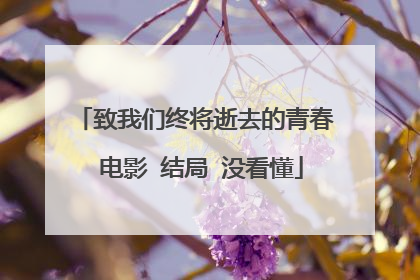 致我们终将逝去的青春 电影 结局 没看懂