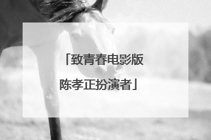 致青春电影版陈孝正扮演者