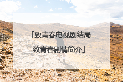 致青春电视剧结局 致青春剧情简介