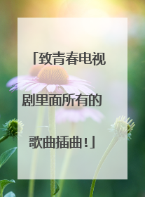 致青春电视剧里面所有的歌曲插曲!