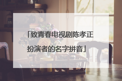 致青春电视剧陈孝正扮演者的名字拼音