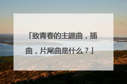 致青春的主题曲,插曲,片尾曲是什么?