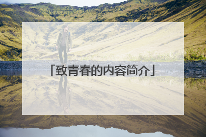 致青春的内容简介