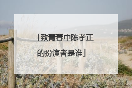 致青春中陈孝正的扮演者是谁