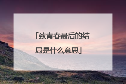 致青春最后的结局是什么意思