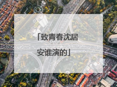 致青春沈居安谁演的