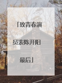 致青春演员表陈开阳最后