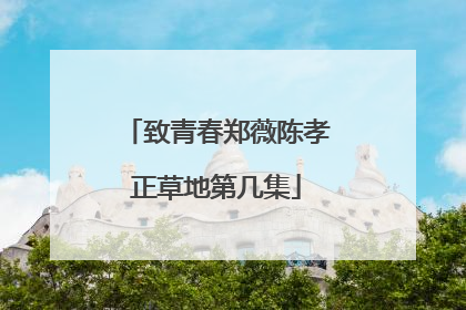 致青春郑薇陈孝正草地第几集