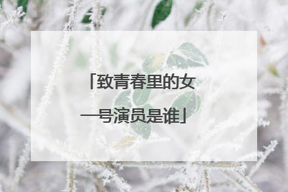 致青春里的女一号演员是谁