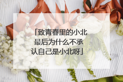 致青春里的小北 最后为什么不承认自己是小北呀
