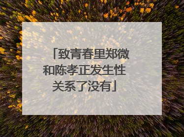 致青春里郑微和陈孝正发生性关系了没有