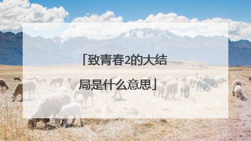 致青春2的大结局是什么意思