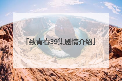 致青春39集剧情介绍