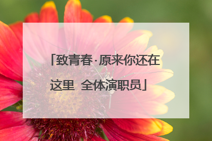 致青春·原来你还在这里 全体演职员