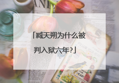 臧天朔为什么被判入狱六年?