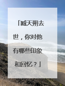 臧天朔去世，你对他有哪些印象和回忆？