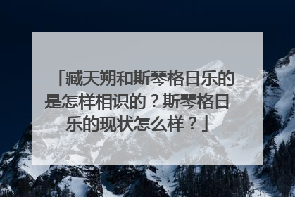 臧天朔和斯琴格日乐的是怎样相识的?斯琴格日乐的现状怎么样?