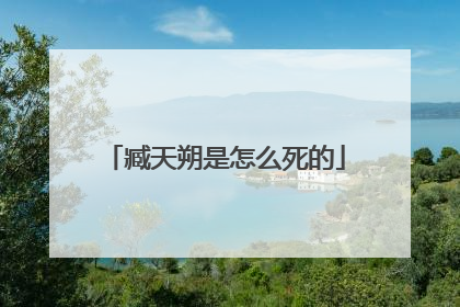 臧天朔是怎么死的