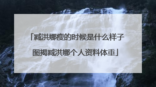 臧洪娜瘦的时候是什么样子 图揭臧洪娜个人资料体重