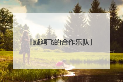 臧鸿飞的合作乐队