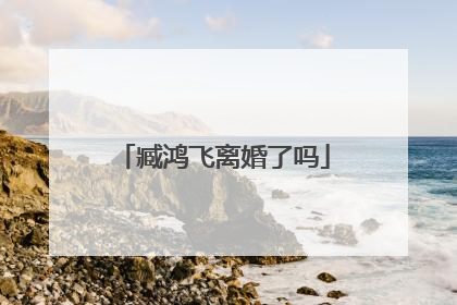 臧鸿飞离婚了吗