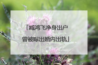 臧鸿飞净身出户 曾被曝出婚内出轨
