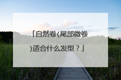 自然卷(尾部微卷)适合什么发型?