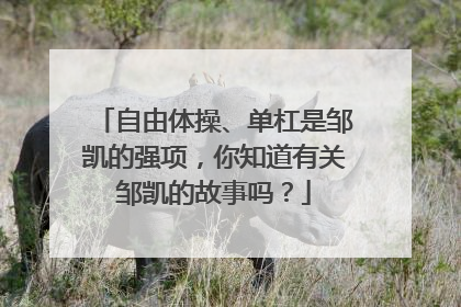 自由体操、单杠是邹凯的强项,你知道有关邹凯的故事吗?