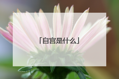 自宫是什么
