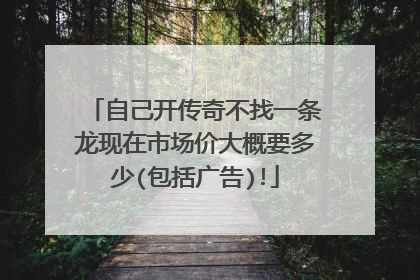 自己开传奇不找一条龙现在市场价大概要多少(包括广告)!