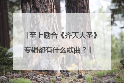 至上励合《齐天大圣》专辑都有什么歌曲?