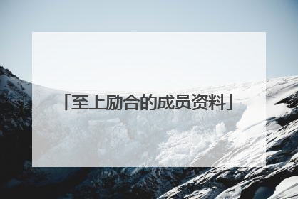 至上励合的成员资料