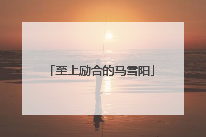 至上励合的马雪阳