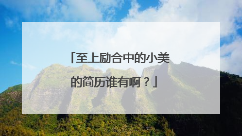 至上励合中的小美的简历谁有啊?