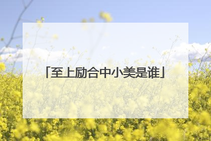 至上励合中小美是谁