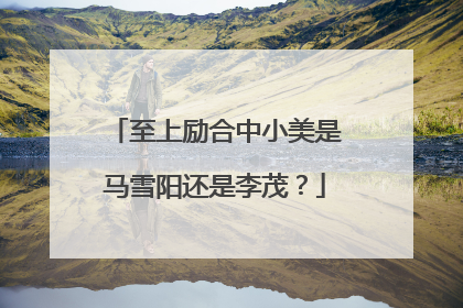 至上励合中小美是马雪阳还是李茂?