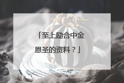 至上励合中金恩圣的资料？