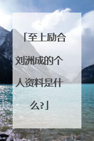 至上励合刘洲成的个人资料是什么?