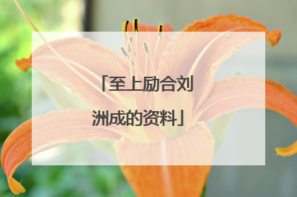 至上励合刘洲成的资料