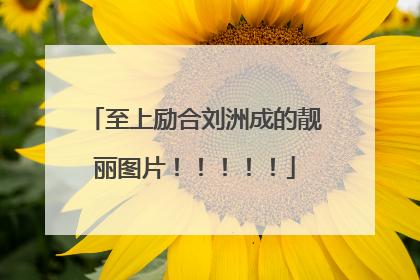 至上励合刘洲成的靓丽图片!!!!!