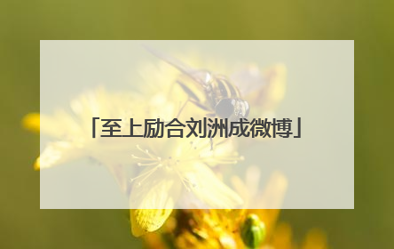 至上励合刘洲成微博