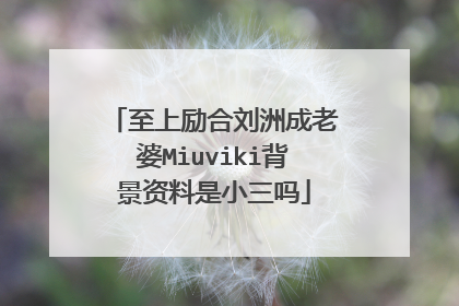至上励合刘洲成老婆Miuviki背景资料是小三吗