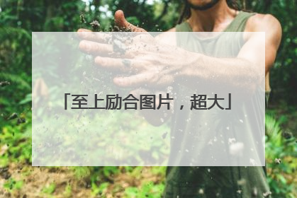至上励合图片，超大