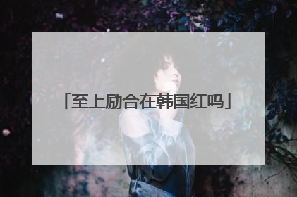 至上励合在韩国红吗