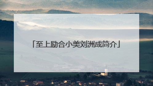 至上励合小美刘洲成简介