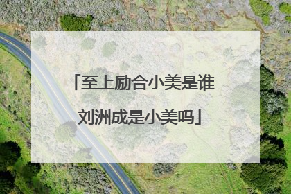 至上励合小美是谁 刘洲成是小美吗