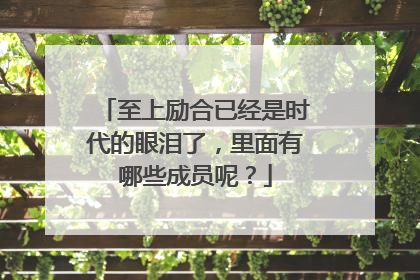 至上励合已经是时代的眼泪了,里面有哪些成员呢?